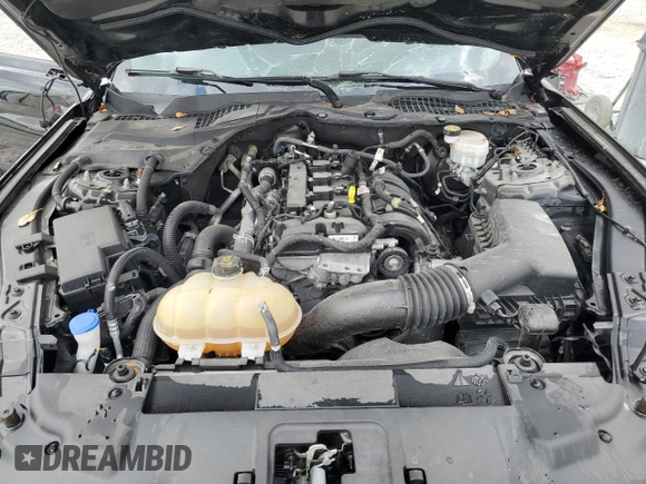2021 Ford Mustang EcoBoost with VIN 1FA6P8TH4M5151881, listed as a Copart auction lot 49722985 with 56,041 mi miles and Non Repairable. Bid and sale history available at carsss.com. Image 13.