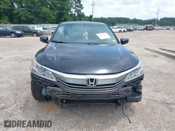 2016 Honda Accord Sport with VIN 1HGCR2F52GA243672, listed as a IAAI auction lot 42525224 with 240,818 mi miles and . Bid and sale history available at DreamBid. Image 12.