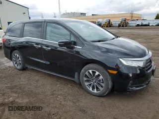 2024 Honda Odyssey EX-L with VIN 5FNRL6H69RB501705, listed as a Copart auction lot 53372625 with 29,603 mi miles and Clean Title. Bid and sale history available at DreamBid. Image 4.