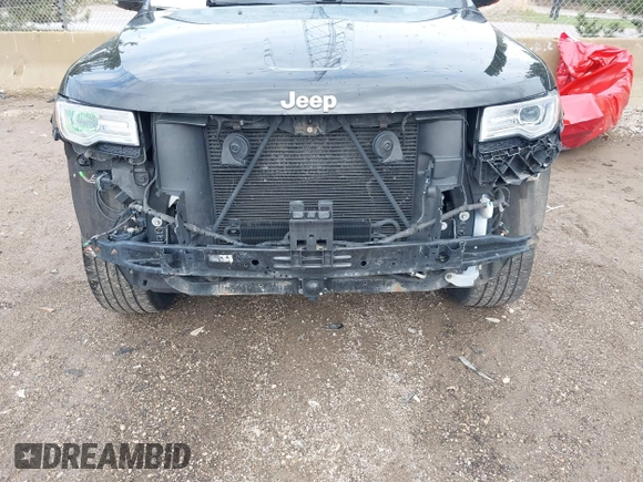 2015 Jeep Grand Cherokee Summit with VIN 1C4RJFJGXFC882787, listed as a IAAI auction lot 42098274 with 147,020 mi miles and . Bid and sale history available at DreamBid. Image 6.