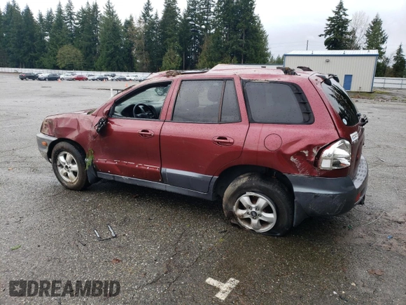 2005 Hyundai Santa Fe GLS with VIN KM8SC73D55U876565, listed as a Copart auction lot 81161004 with 204,205 mi miles and Salvage title. Bid and sale history available at DreamBid. Image 2.