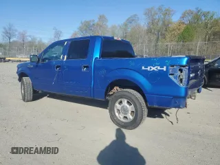 2013 Ford F-150 XL with VIN 1FTFW1EF3DFA87410, listed as a Copart auction lot 53025645 with 219,758 mi miles and Salvage Title. Bid and sale history available at DreamBid. Image 2.