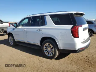 2021 GMC Yukon SLT with VIN 1GKS2BKD8MR240143, listed as a Copart auction lot 55197664 with 79,119 mi miles and Salvage Title. Bid and sale history available at carsss.com. Image 2.
