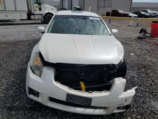 2008 Nissan Maxima 3.5 SL with VIN 1N4BA41E58C830402, listed as a Copart auction lot 50999495 with 243,039 mi miles and Salvage Title. Bid and sale history available at carsss.com. Image 5.