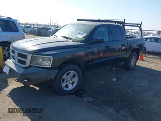 2010 Dodge Dakota Bighorn/Lonestar with VIN 1D7CW3GK1AS155513, listed as a IAAI auction lot 41437670 with 184,199 mi miles. Bid and sale history available at carsss.com. Image 17.