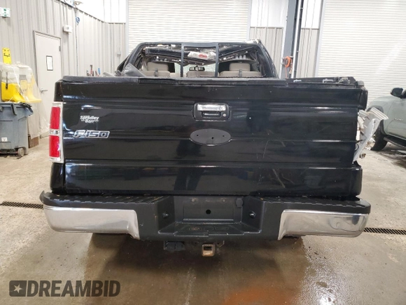 2009 Ford F-150 XL with VIN 1FTPW14VX9FA57292, listed as a Copart auction lot 57179865 with 173,771 mi miles and Clean title. Bid and sale history available at DreamBid. Image 6.
