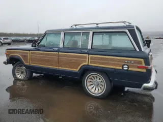 1987 Jeep Grand Wagoneer with VIN 1JCNJ15U7HT006097, listed as a Copart auction lot 89191925 with 119,168 mi miles and Salvage title. Bid and sale history available at DreamBid. Image 2.