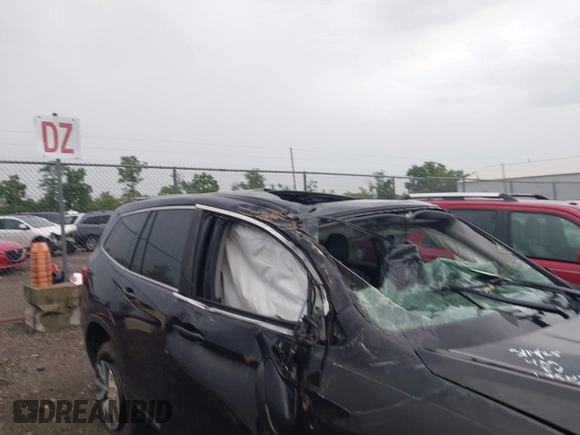 2021 Honda Pilot EX-L with VIN 5FNYF6H59MB021022, listed as a IAAI auction lot 42713636 with Not provided miles and . Bid and sale history available at DreamBid. Image 6.