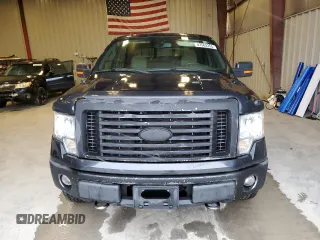 2010 Ford F-150 XL with VIN 1FTFW1EV6AFA11876, listed as a Copart auction lot 47563355 with 224,151 mi miles and Non Repairable. Bid and sale history available at carsss.com. Image 5.