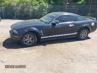 2005 Ford Mustang Deluxe with VIN 1ZVFT80N255111782, listed as a IAAI auction lot 42145903 with 243,853 mi miles. Bid and sale history available at carsss.com. Image 2.