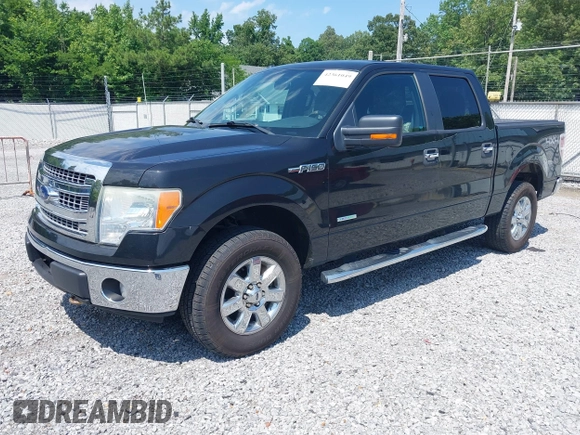 2013 Ford F-150 XL with VIN 1FTFW1ET6DKG21755, listed as a IAAI auction lot 42361049 with 264,756 mi miles and . Bid and sale history available at DreamBid. Image 17.