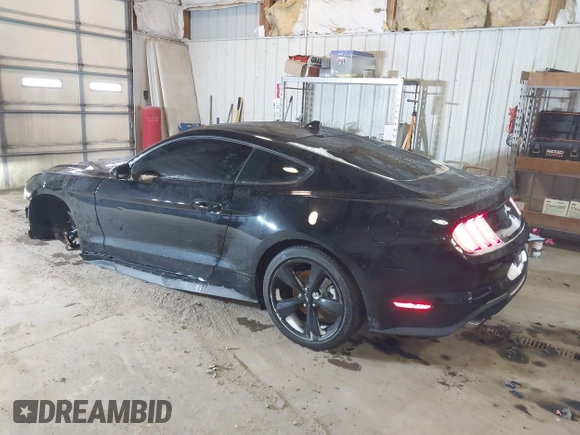 2023 Ford Mustang EcoBoost with VIN 1FA6P8TH7P5101948, listed as a IAAI auction lot 41305042 with 11,047 mi miles. Bid and sale history available at carsss.com. Image 3.