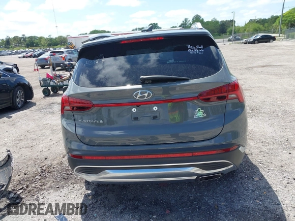 2023 Hyundai Santa Fe SEL with VIN 5NMS34AJ0PH585087, listed as a IAAI auction lot 41995946 with 22,376 mi miles and . Bid and sale history available at DreamBid. Image 17.