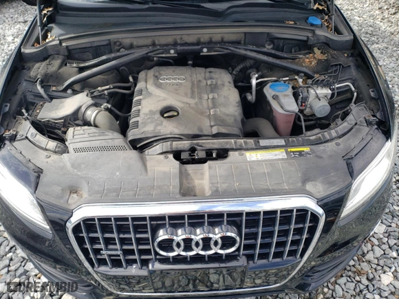 2016 Audi Q5 Premium with VIN WA1C2AFP6GA135533, listed as a Copart auction lot 49112065 with 78,415 mi miles and Salvage Title. Bid and sale history available at carsss.com. Image 12.