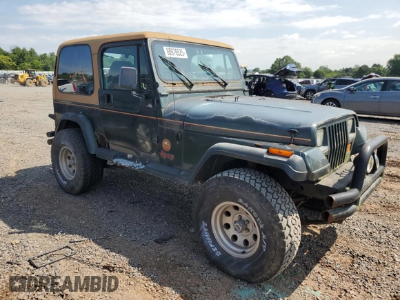 1994 Jeep Wrangler Sahara with VIN 1J4FY49S9RP444314, listed as a Copart auction lot 65976525 with 189,273 mi miles and Clean title. Bid and sale history available at DreamBid. Image 4.