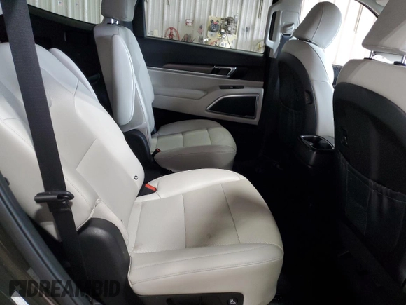 2022 Kia Telluride S with VIN 5XYP6DHC3NG248392, listed as a Copart auction lot 60979775 with Not provided miles and Salvage title. Bid and sale history available at DreamBid. Image 11.