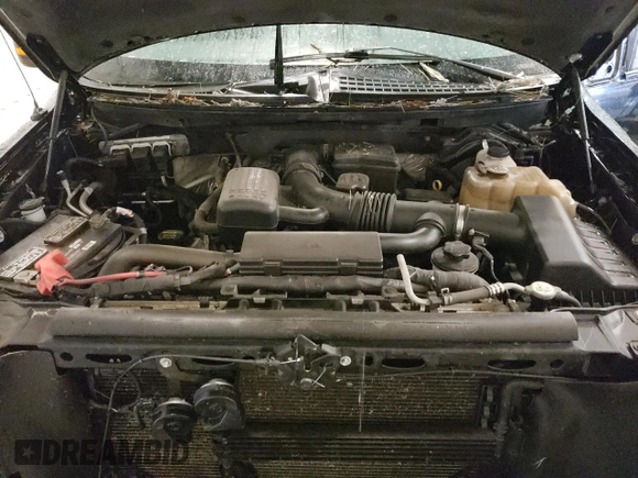 2010 Ford F-150 XL with VIN 1FTFX1EV6AFB06967, listed as a Copart auction lot 62223835 with 165,585 mi miles and Salvage title. Bid and sale history available at DreamBid. Image 11.