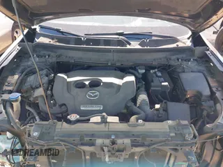 2019 Mazda CX-9 Grand Touring with VIN JM3TCBDY7K0302444, listed as a IAAI auction lot 41998110 with 166,298 mi miles and . Bid and sale history available at DreamBid. Image 10.