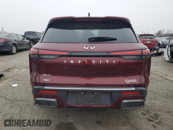 2022 Infiniti QX60 Luxe with VIN 5N1DL1FS7NC330131, listed as a Copart auction lot 87463584 with Not provided miles and Salvage title. Bid and sale history available at DreamBid. Image 6.