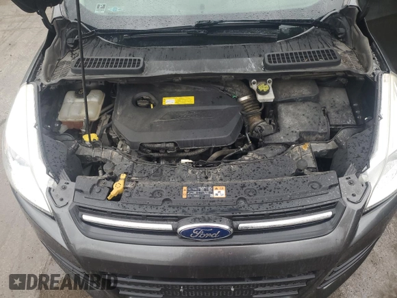 2016 Ford Escape SE with VIN 1FMCU0GX6GUB75551, listed as a Copart auction lot 49507385 with 123,051 mi miles and Salvage Title. Bid and sale history available at carsss.com. Image 12.