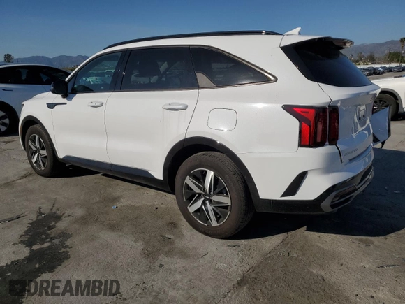 2023 Kia Sorento S with VIN 5XYRL4LC5PG208066, listed as a Copart auction lot 45376745 with 16,943 mi miles and Salvage Title. Bid and sale history available at DreamBid. Image 2.