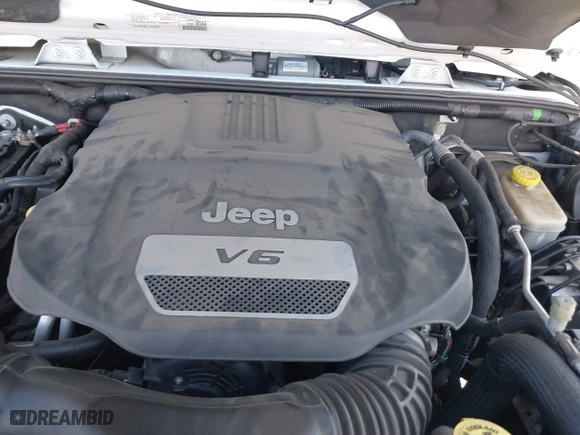 2016 Jeep Wrangler Unlimited 75th Anniversary with VIN 1C4BJWEG3GL194420, listed as a IAAI auction lot 41678849 with 127,194 mi miles. Bid and sale history available at carsss.com. Image 10.