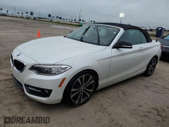 2015 BMW 2 Series 228i with VIN WBA1K5C51FV242629, listed as a Copart auction lot 74613734 with Not provided miles and Salvage title. Bid and sale history available at DreamBid. Image 1.