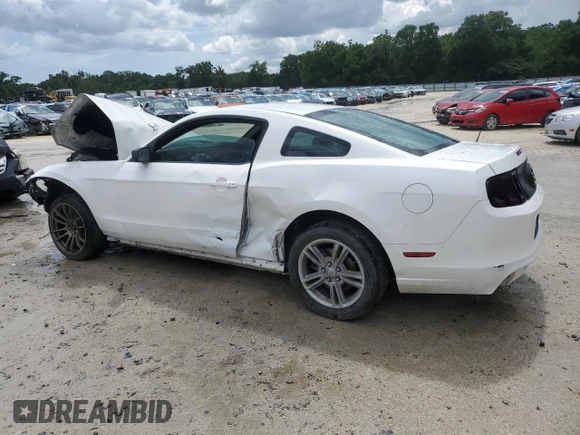 2013 Ford Mustang V6 с VIN 1ZVBP8AMXD5280603, выставлен на аукционе Copart как лот 59978405 с пробегом Не указан миль и Списание • Salvage title. История ставок и продаж доступна на DreamBid. Изображение 2.