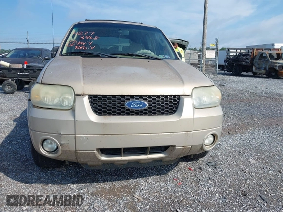 2007 Ford Escape Limited with VIN 1FMCU94187KB59285, listed as a IAAI auction lot 42773968 with 161,709 mi miles and . Bid and sale history available at DreamBid. Image 6.