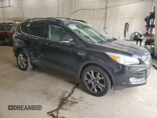 2013 Ford Escape SEL with VIN 1FMCU0HX1DUB83342, listed as a Copart auction lot 52482145 with 123,702 mi miles and Salvage Title. Bid and sale history available at carsss.com. Image 4.