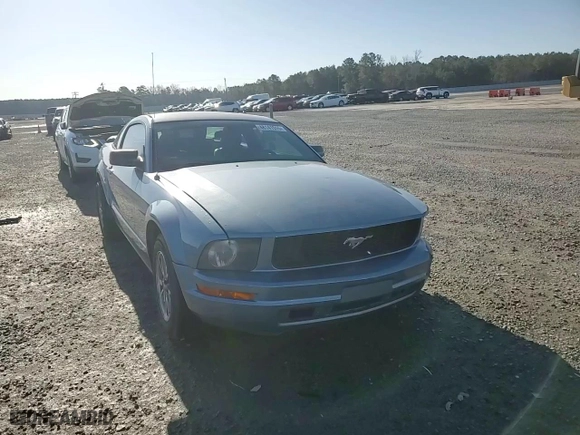 2005 Ford Mustang Deluxe with VIN 1ZVFT80N855158539, listed as a Copart auction lot 48141515 with 194,769 mi miles and Salvage Title. Bid and sale history available at carsss.com. Image 11.