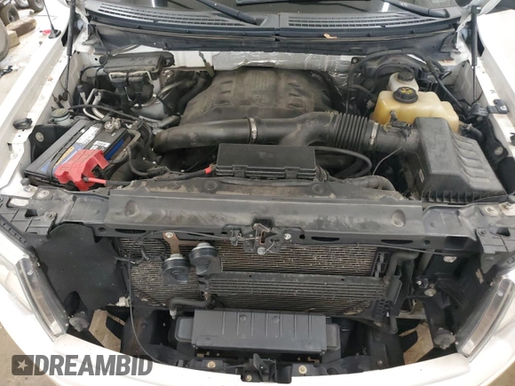 2012 Ford F-150 XL with VIN 1FTFW1ET3CFC99003, listed as a Copart auction lot 60062875 with 182,171 mi miles and Salvage title. Bid and sale history available at DreamBid. Image 11.