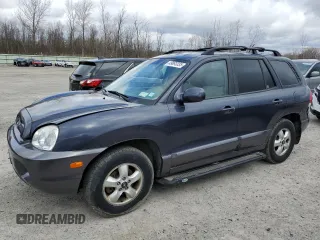 2006 Hyundai Santa Fe GLS with VIN KM8SC73D56U093490, listed as a Copart auction lot 49893335 with 78,577 mi miles and Salvage Title. Bid and sale history available at carsss.com. Image 1.