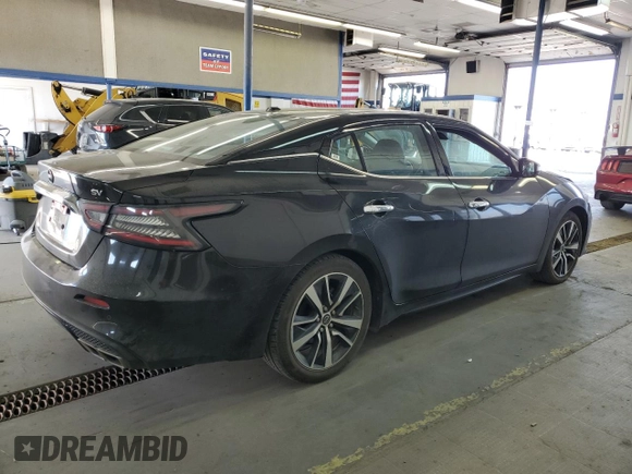 2023 Nissan Maxima SV with VIN 1N4AA6CV4PC510717, listed as a Copart auction lot 62238885 with 37,480 mi miles and Salvage title. Bid and sale history available at DreamBid. Image 3.