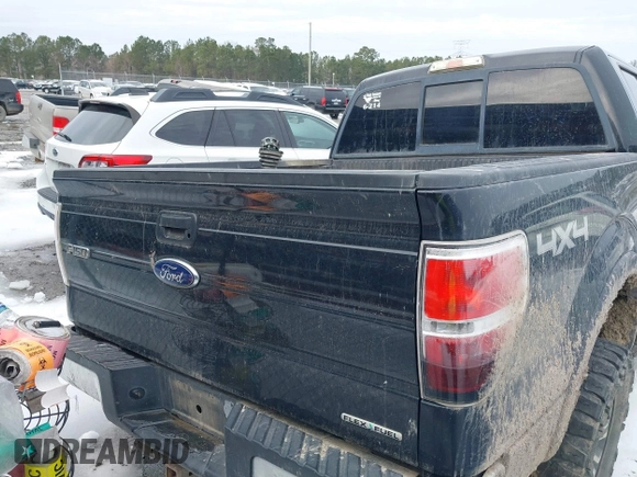 2010 Ford F-150 XL with VIN 1FTFW1EVXAFA74365, listed as a IAAI auction lot 41354493 with 196,559 mi miles. Bid and sale history available at carsss.com. Image 16.