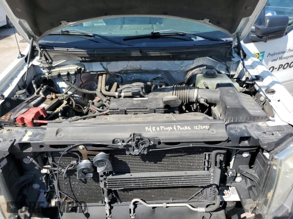 2013 Ford F-150 XL with VIN 1FTNF1CF9DKD65698, listed as a Copart auction lot 62138285 with 166,352 mi miles and Clean title. Bid and sale history available at DreamBid. Image 12.