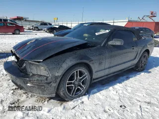 2005 Ford Mustang GT Deluxe with VIN 1ZVHT85H655199389, listed as a Copart auction lot 45215765 with 98,105 mi miles and Salvage Title. Bid and sale history available at DreamBid. Image 1.