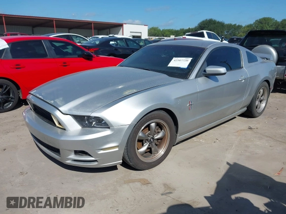 2013 Ford Mustang V6 with VIN 1ZVBP8AM1D5278884, listed as a IAAI auction lot 42507720 with 123,854 mi miles and . Bid and sale history available at DreamBid. Image 22.