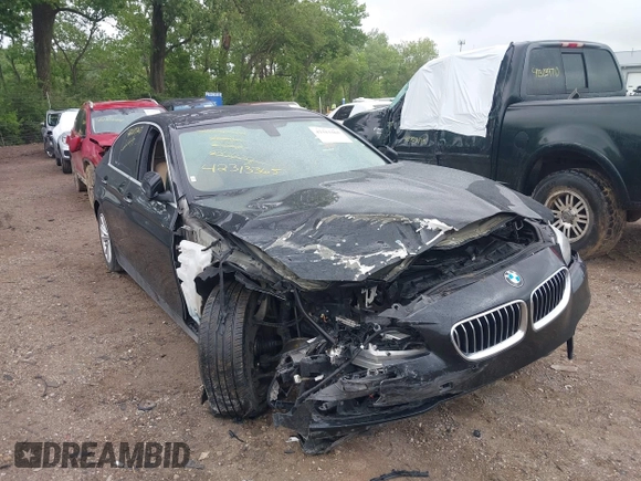 2015 BMW 5 Series 528i xDrive with VIN WBA5A7C5XFD621439, listed as a IAAI auction lot 42313365 with 109,510 mi miles and . Bid and sale history available at DreamBid. Image 1.