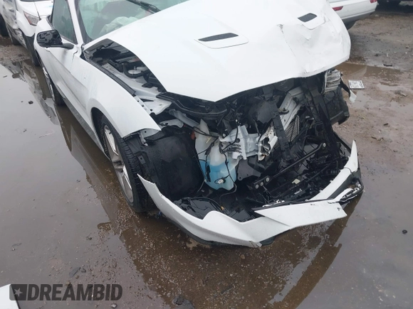 2021 Ford Mustang EcoBoost with VIN 1FATP8UH0M5137364, listed as a IAAI auction lot 41013380 with 31,526 mi miles. Bid and sale history available at carsss.com. Image 6.
