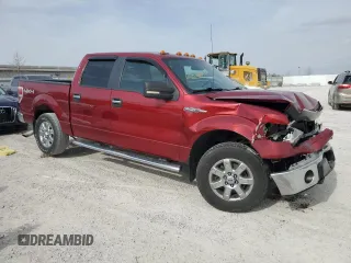 2013 Ford F-150 XL with VIN 1FTFW1EF5DFA72956, listed as a Copart auction lot 49891245 with 142,672 mi miles and Salvage Title. Bid and sale history available at DreamBid. Image 4.