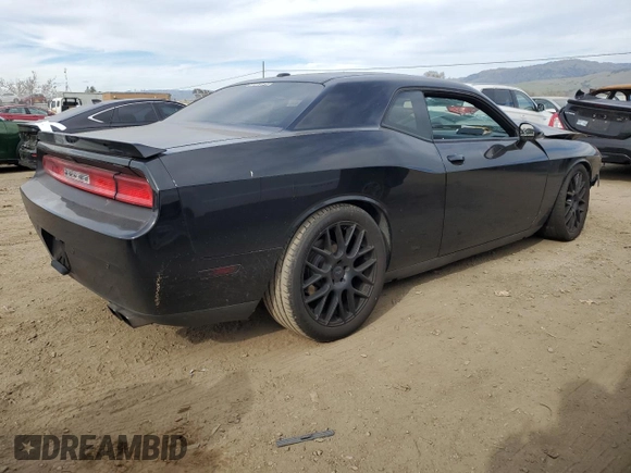 2013 Dodge Challenger R/T with VIN 2C3CDYBT8DH605090, listed as a Copart auction lot 46374155 with Not Provided miles and Salvage Title. Bid and sale history available at carsss.com. Image 3.