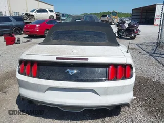 2015 Ford Mustang EcoBoost Premium с VIN 1FATP8UH6F5383872, выставлен на аукционе IAAI как лот 41982537 с пробегом 142 096 миль миль и . История ставок и продаж доступна на DreamBid. Изображение 17.