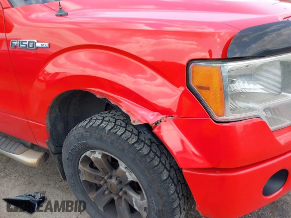 2013 Ford F-150 XL with VIN 1FTFX1EF7DFC10994, listed as a IAAI auction lot 42435310 with 176,204 mi miles and . Bid and sale history available at DreamBid. Image 6.