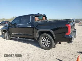 2022 Toyota Tundra 1794 Edition with VIN 5TFMA5DB2NX033703, listed as a Copart auction lot 47841975 with 48,755 mi miles and Salvage title. Bid and sale history available at DreamBid. Image 2.