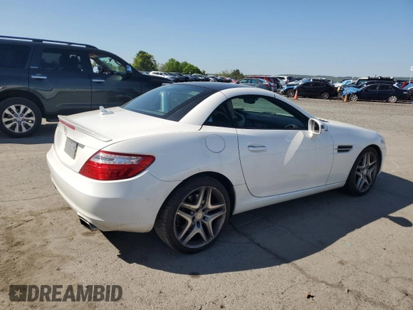 2014 Mercedes-Benz SLK 250 with VIN WDDPK4HA1EF081565, listed as a Copart auction lot 54008025 with 87,808 mi miles and Salvage title. Bid and sale history available at DreamBid. Image 3.
