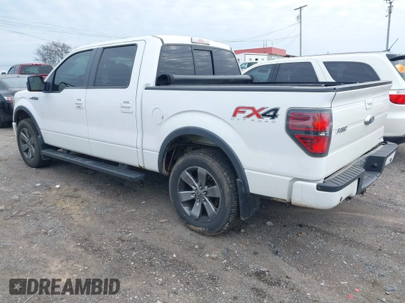 2013 Ford F-150 XL with VIN 1FTFW1EF9DFD14129, listed as a IAAI auction lot 41585143 with 190,047 mi miles. Bid and sale history available at carsss.com. Image 3.