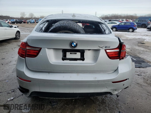 2013 BMW X6 xDrive50i with VIN 5UXFG8C53DL591813, listed as a Copart auction lot 42174195 with 0 mi miles and Salvage Title. Bid and sale history available at carsss.com. Image 6.