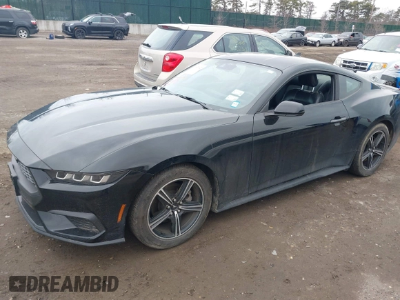 2024 Ford Mustang EcoBoost with VIN 1FA6P8TH0R5134826, listed as a IAAI auction lot 41687042 with 22,647 mi miles. Bid and sale history available at carsss.com. Image 14.