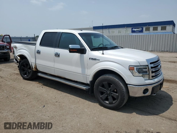 2013 Ford F-150 XL with VIN 1FTFW1EF6DKF53449, listed as a Copart auction lot 59697185 with 166,302 mi miles and Salvage title. Bid and sale history available at DreamBid. Image 4.